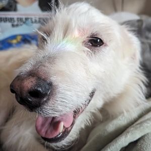 Meet your Posher, Kaelynn